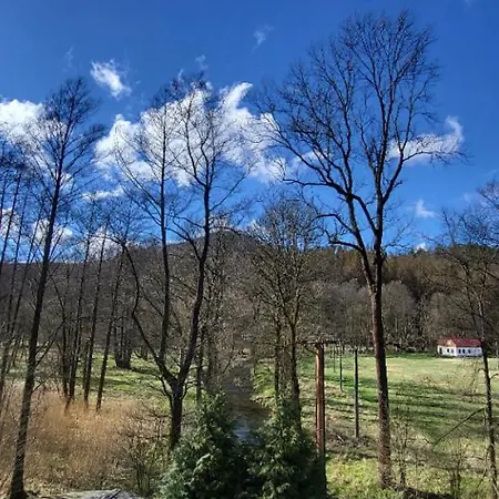 Pod Kaštany Penzion *
